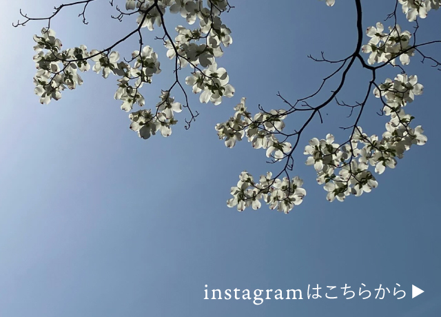 あわやまりのインスタグラム・instagramへ